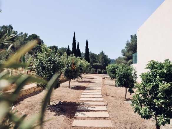 tuin Villa Ibiza - investeren in vastgoed in ibiza. tomas fem casas - betrouwbare makelaar in spanje