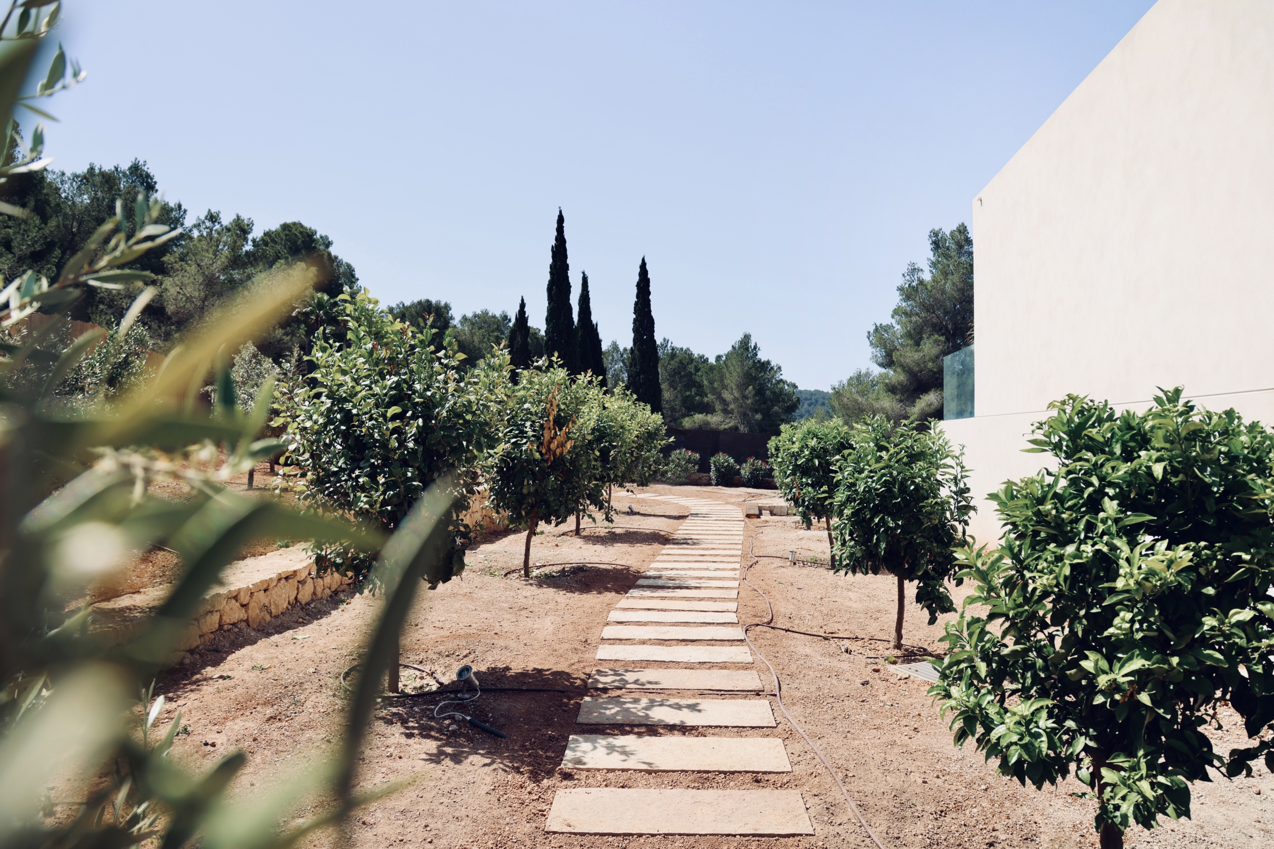 tuin Villa Ibiza - investeren in vastgoed in ibiza. tomas fem casas - betrouwbare makelaar in spanje