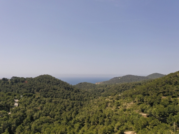 natuur nabij Villa Ibiza - investeren in vastgoed in ibiza. tomas fem casas - betrouwbare makelaar in spanje