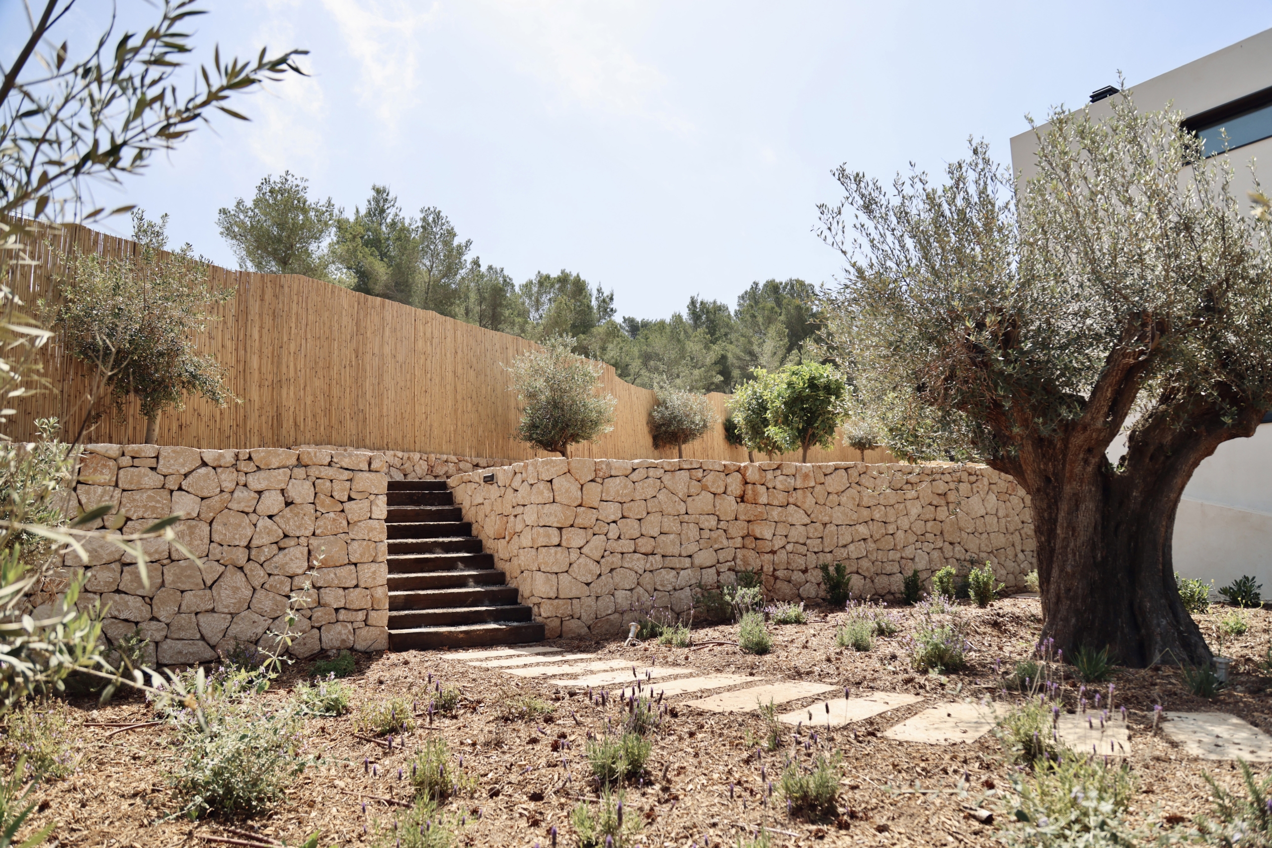 tuin Villa Ibiza - investeren in vastgoed in ibiza. tomas fem casas - betrouwbare makelaar in spanje