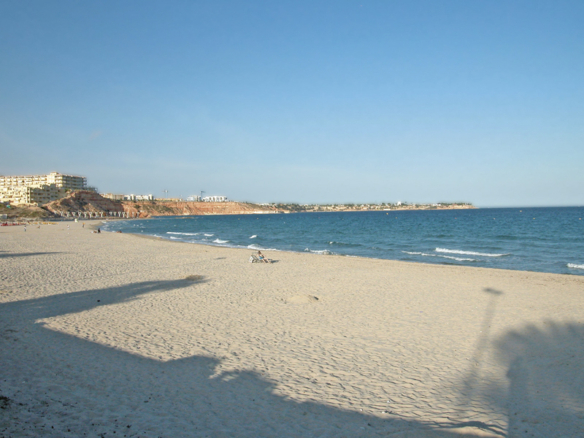 Strand bij Torrevieja met zand, palmbomen en helder water