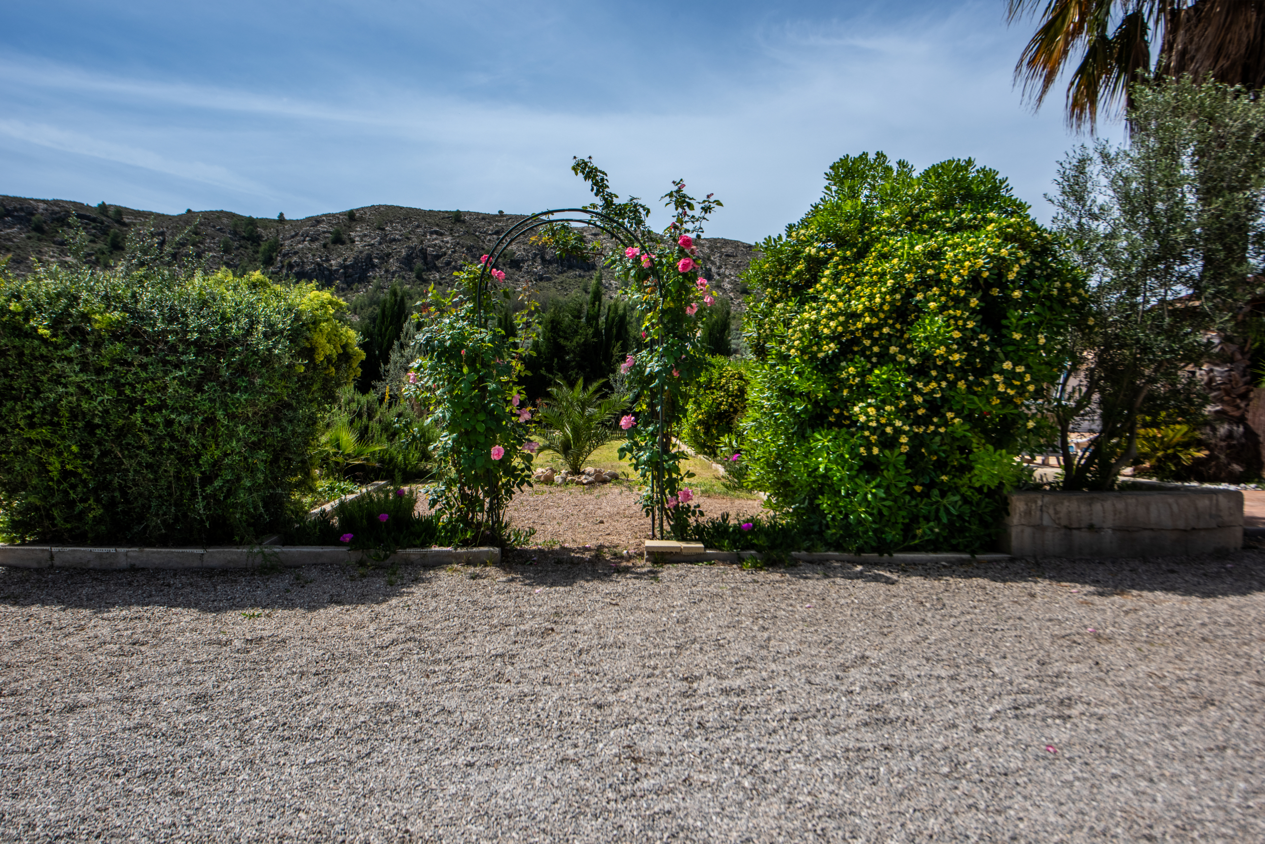 Garden arch with pink roses, green shrubbery, and a gravel foreground against a blue sky and distant hillside