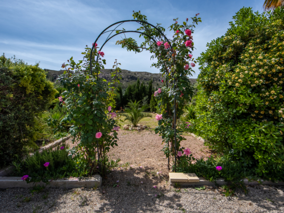 Pink roses climb a metal arch over a gravel garden path with green hedges and a rocky hillside in the distance under a blue sky.