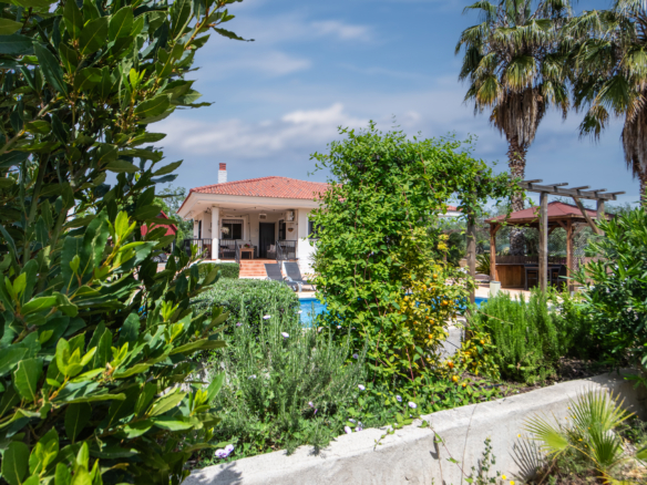Front view of a white house with a red-tiled roof, surrounded by lush green plants and trees under a blue sky.