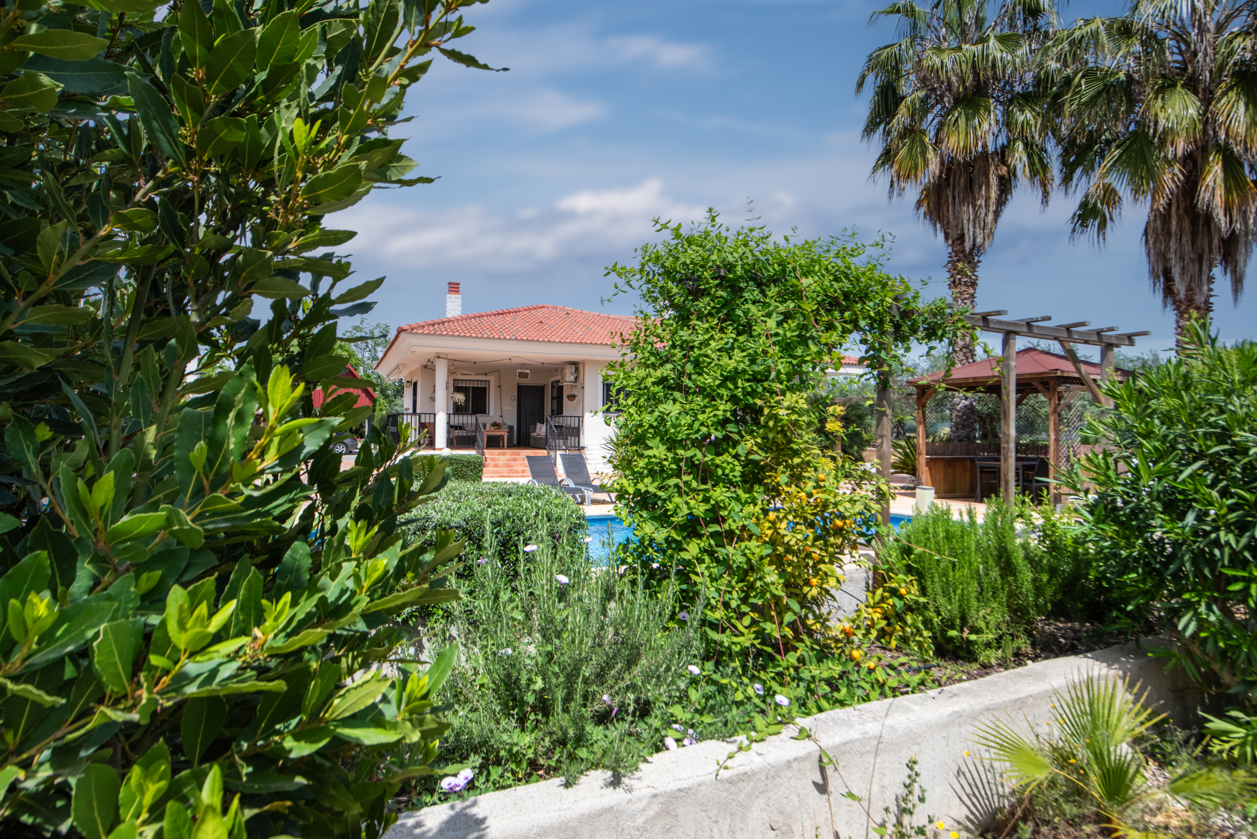 Front view of a white house with a red-tiled roof, surrounded by lush green plants and trees under a blue sky.