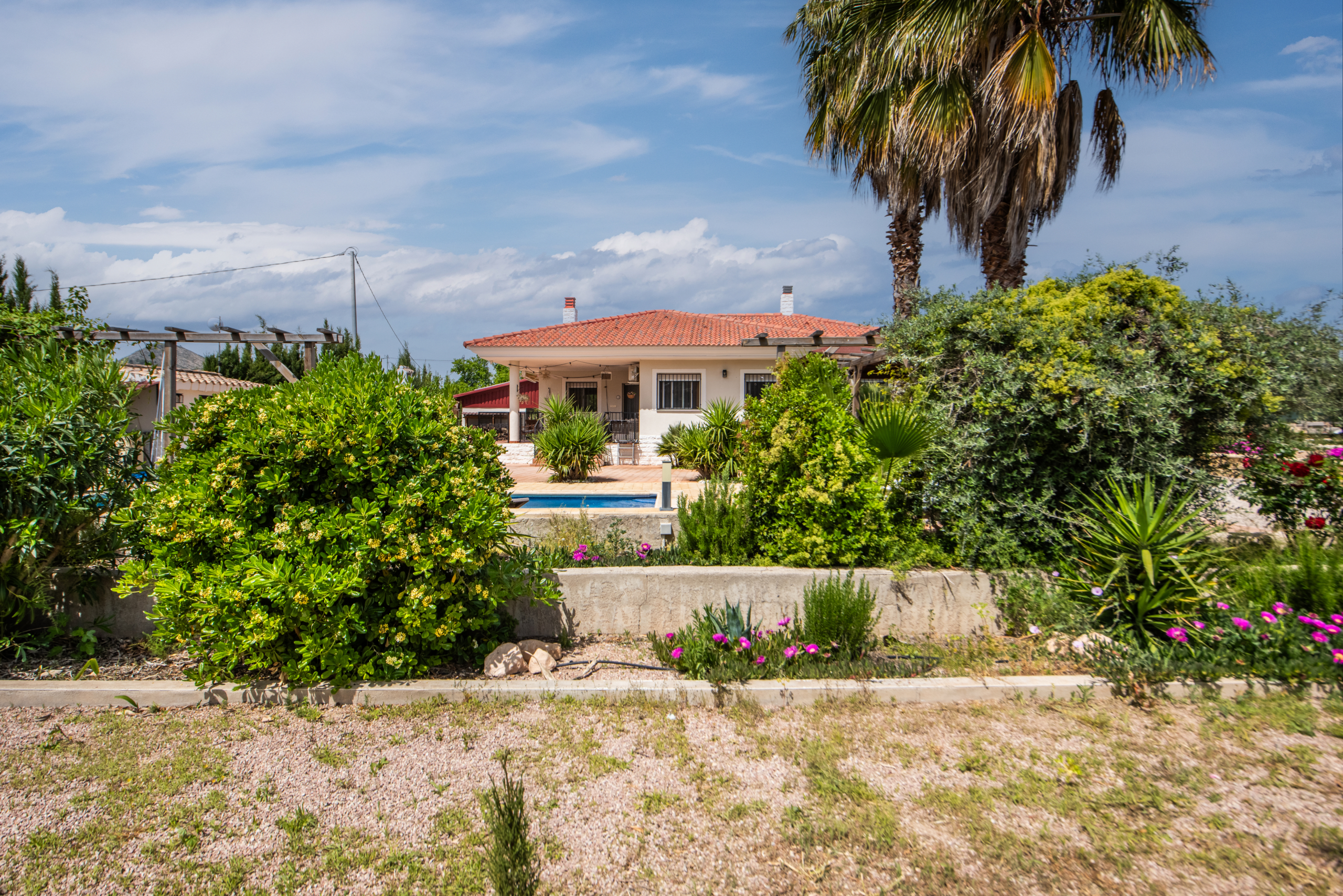 voorkant vanuit de tuin richting de woning, veel groen en mooie planten