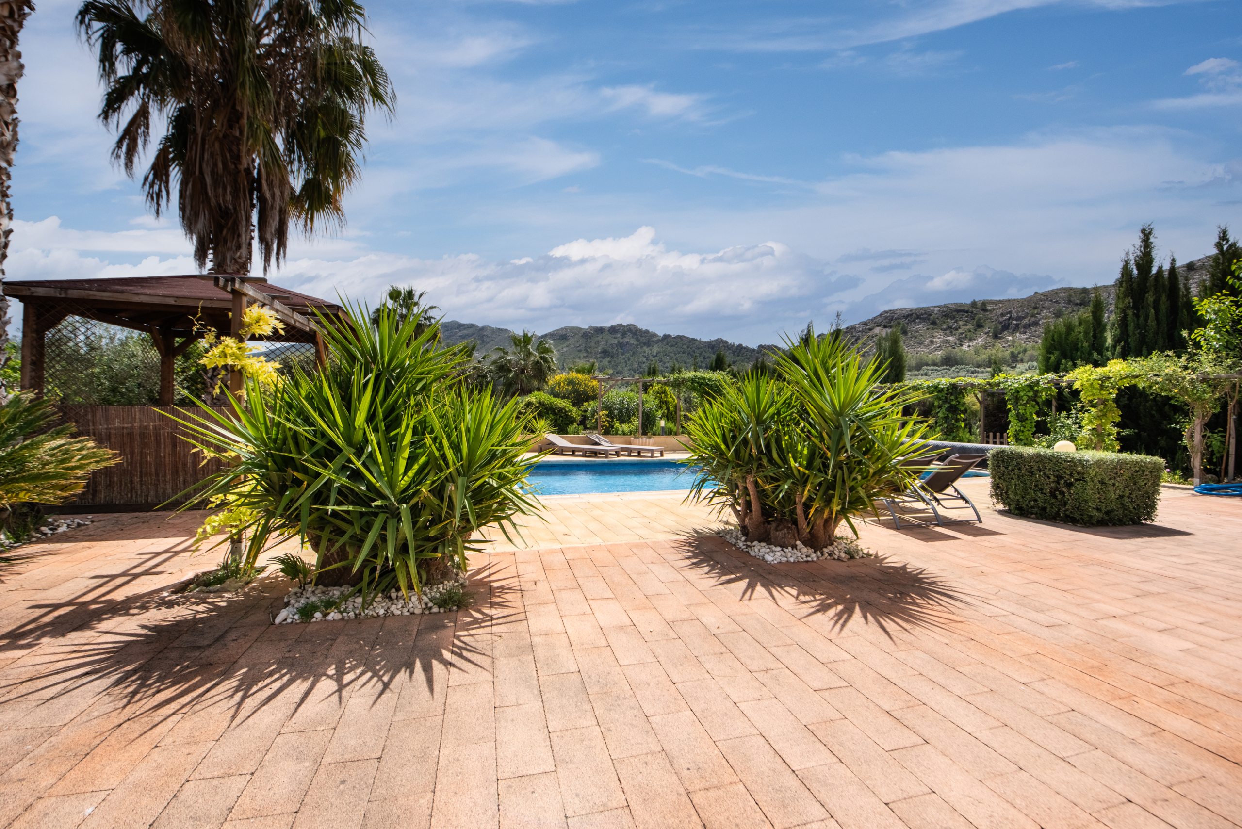Zonnig terras met privézwembad en uitzicht over de natuur rondom Calasparra
