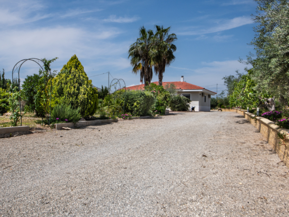 A gravel driveway leads to a small white house with a red-tiled roof, surrounded by lush greenery and palm trees against a blue sky.