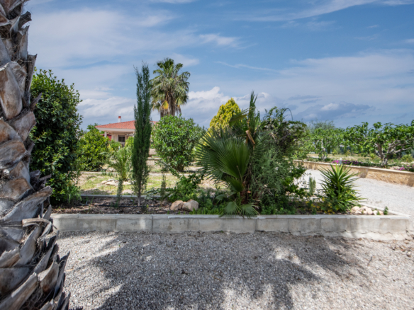 Sunny garden scene with a large palm tree on the left, green shrubs, and a red-tiled house in the distance under a blue sky.