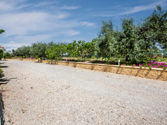 Gravel lot or garden pathway with a low stone wall, trees, and colorful flowers under a blue sky.