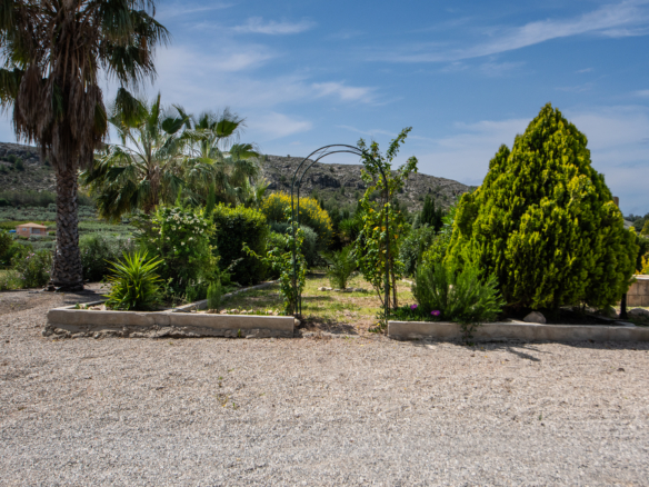 A gravel garden foreground with palm trees and lush shrubs, hills in the distance under a blue sky.
