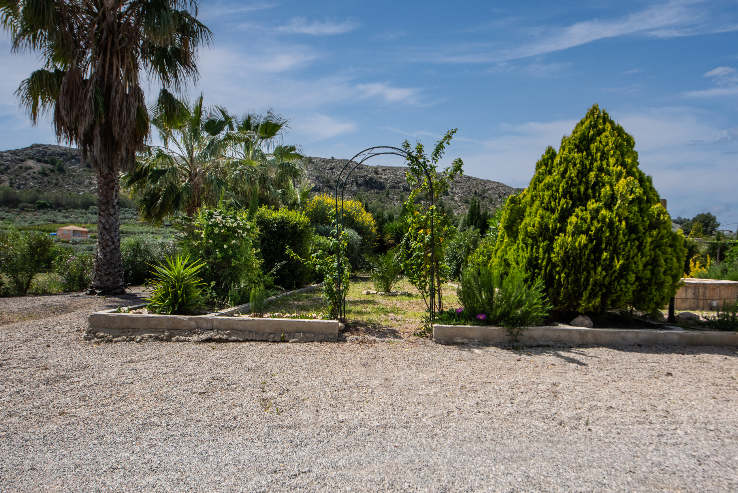 A gravel garden foreground with palm trees and lush shrubs, hills in the distance under a blue sky.