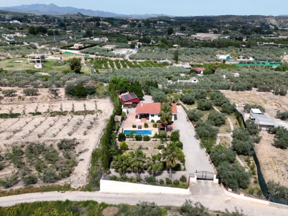 Aerial view of a rural property with a red-roofed house, swimming pool, and rows of olive trees across farmland.