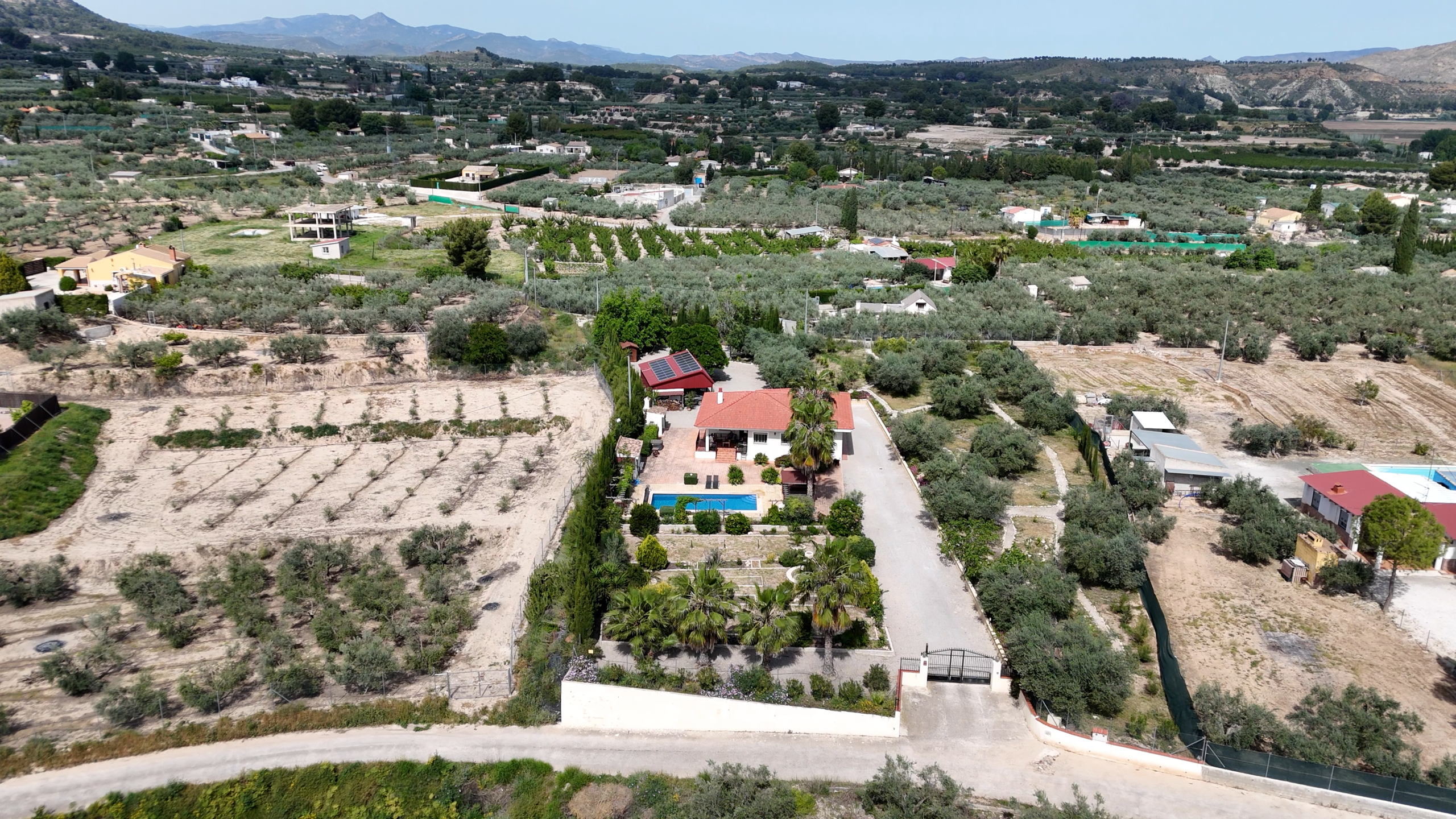 Aerial view of a rural property with a red-roofed house, swimming pool, and rows of olive trees across farmland.