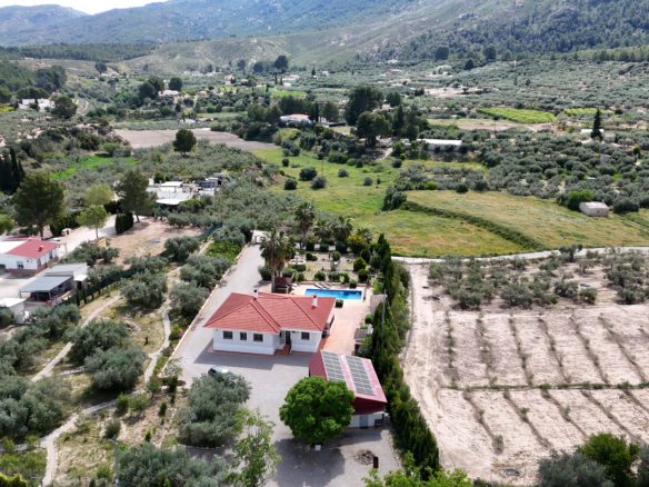 Aerial view of a rural valley with olive groves, scattered houses, and rolling hills in the distance under a clear sky