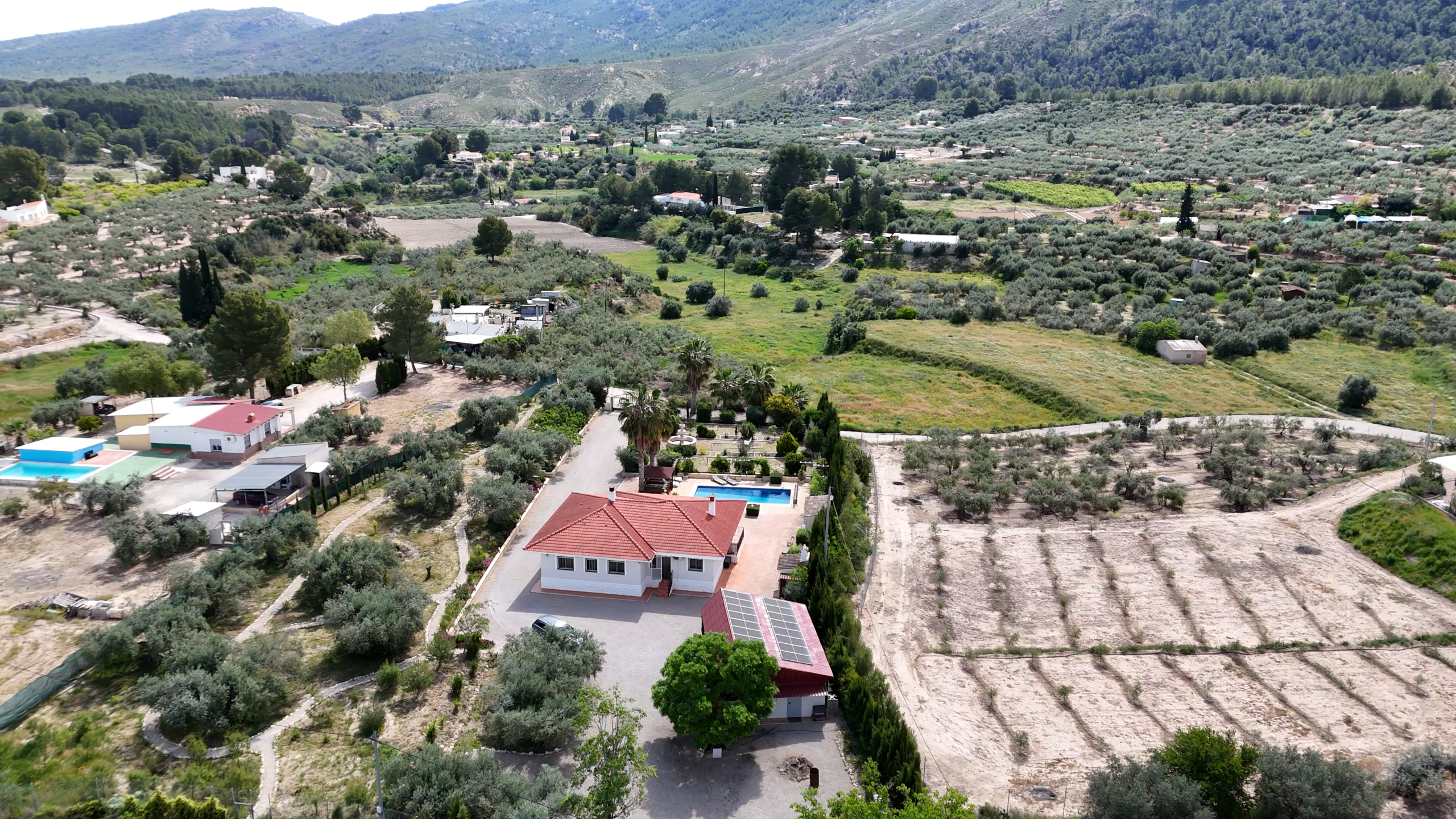 Aerial view of a rural valley with olive groves, scattered houses, and rolling hills in the distance under a clear sky