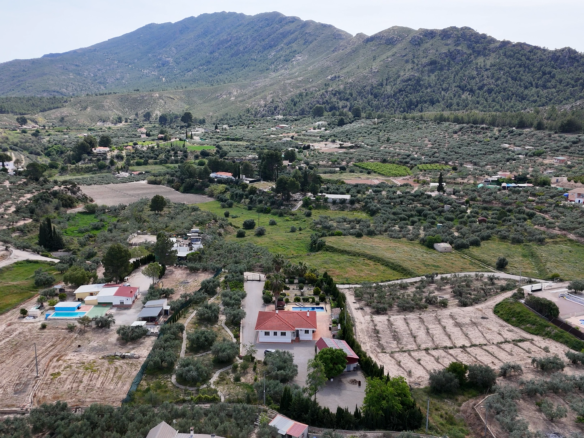 A rural valley with olive groves, fields, and scattered houses at the foot of large hills.