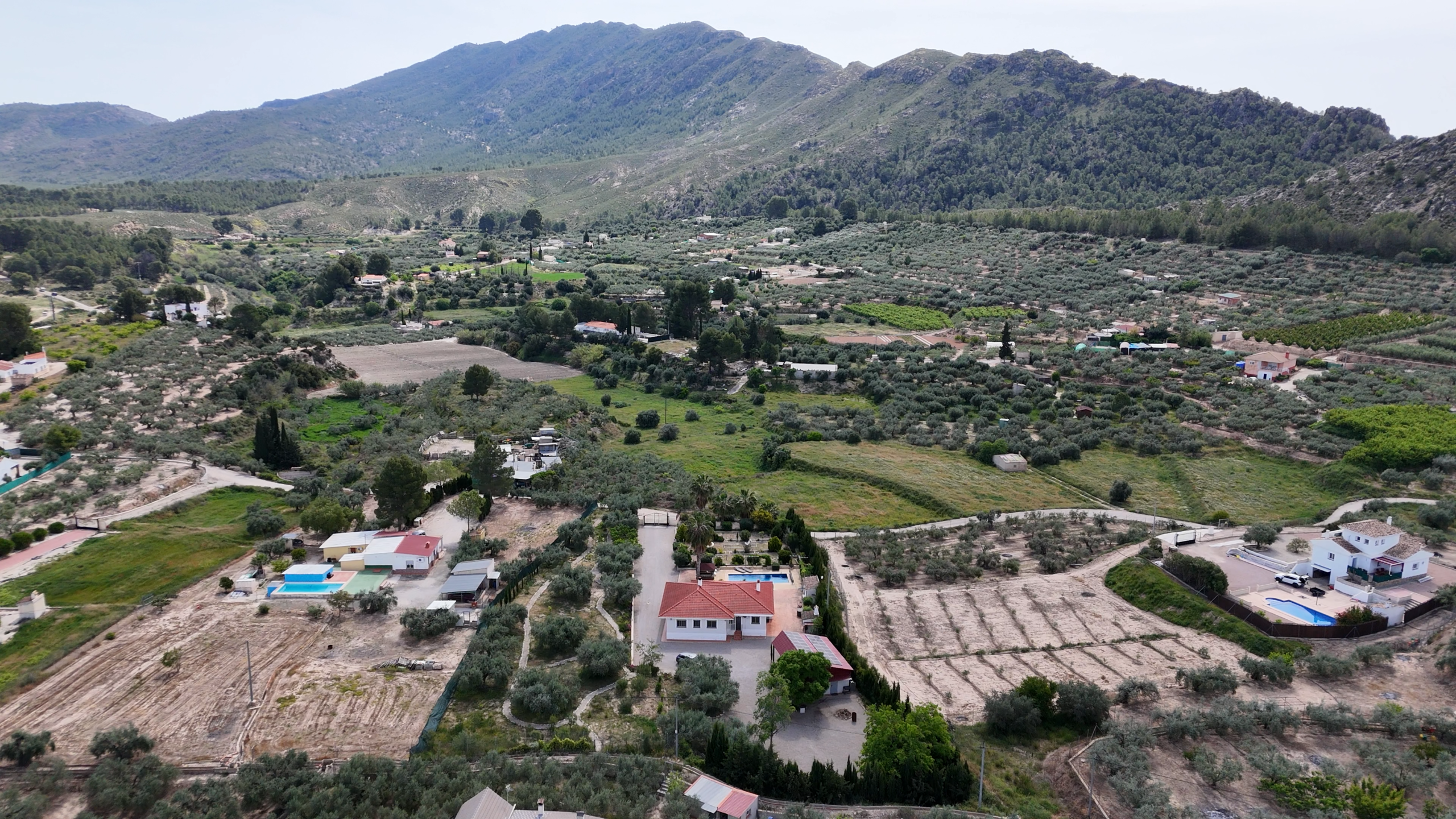 A rural valley with olive groves, fields, and scattered houses at the foot of large hills.