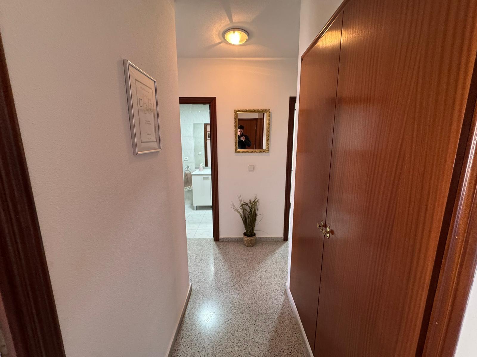 Narrow hallway with a potted plant at the end, a decorative framed mirror reflecting the photographer, and large wooden wardrobes along the right; bathroom doorway visible on the left.