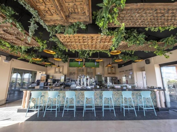 Long bar with teal stools, plants hanging from a woven ceiling, and large windows in a bright cafe setting.
