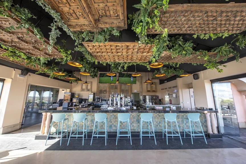 Long bar with teal stools, plants hanging from a woven ceiling, and large windows in a bright cafe setting.