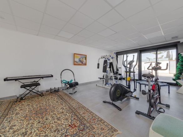Home gym with cardio machines (bike, elliptical) and a weight station, plus a piano keyboard on a patterned rug near white walls and large windows at the back.