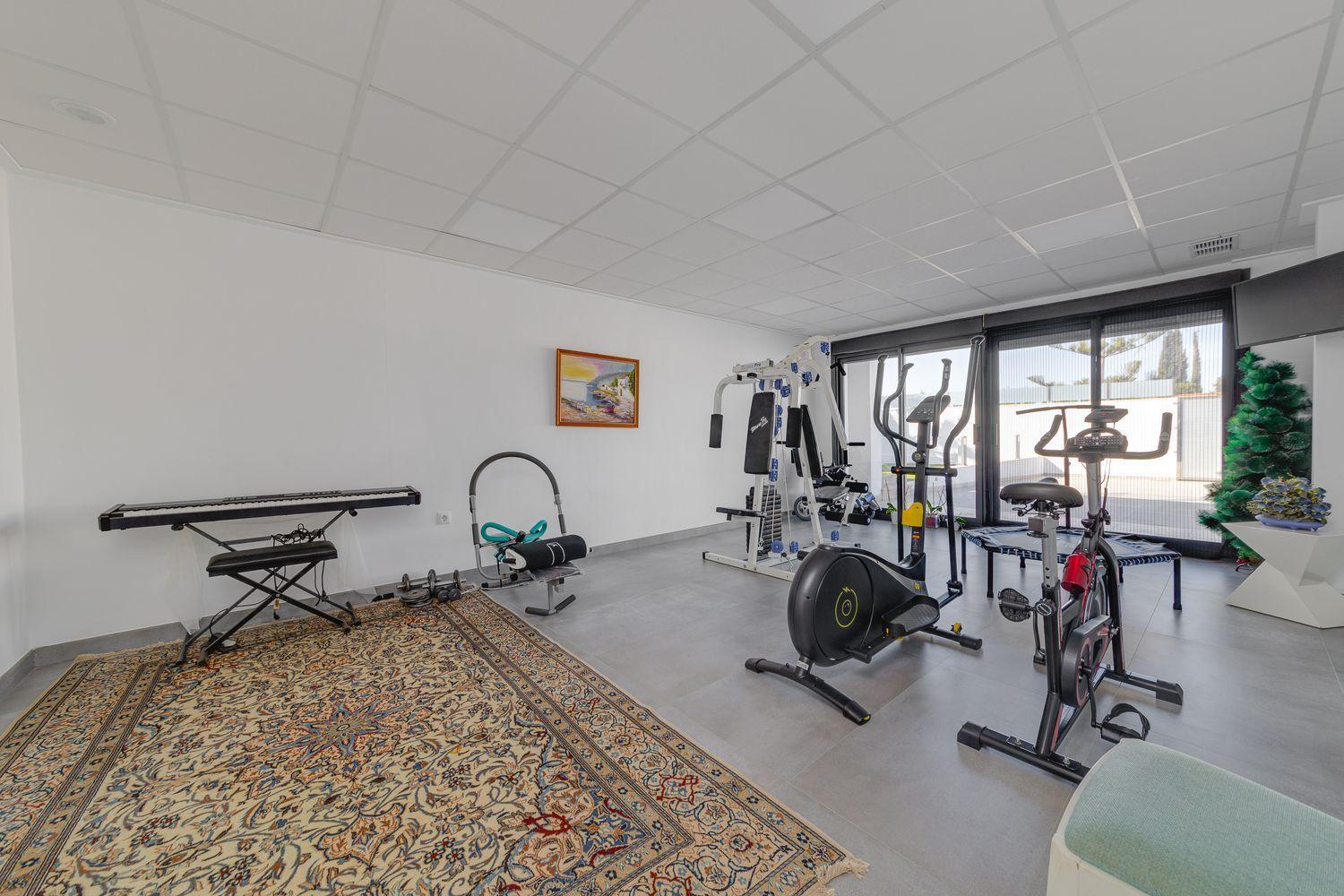 Home gym with cardio machines (bike, elliptical) and a weight station, plus a piano keyboard on a patterned rug near white walls and large windows at the back.