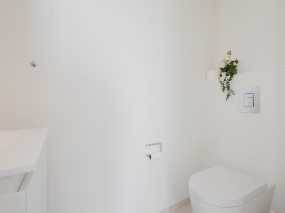 Minimalist white bathroom showing a wall-mounted toilet, toilet paper holder, and a small potted plant on a shelf over the toilet edge.