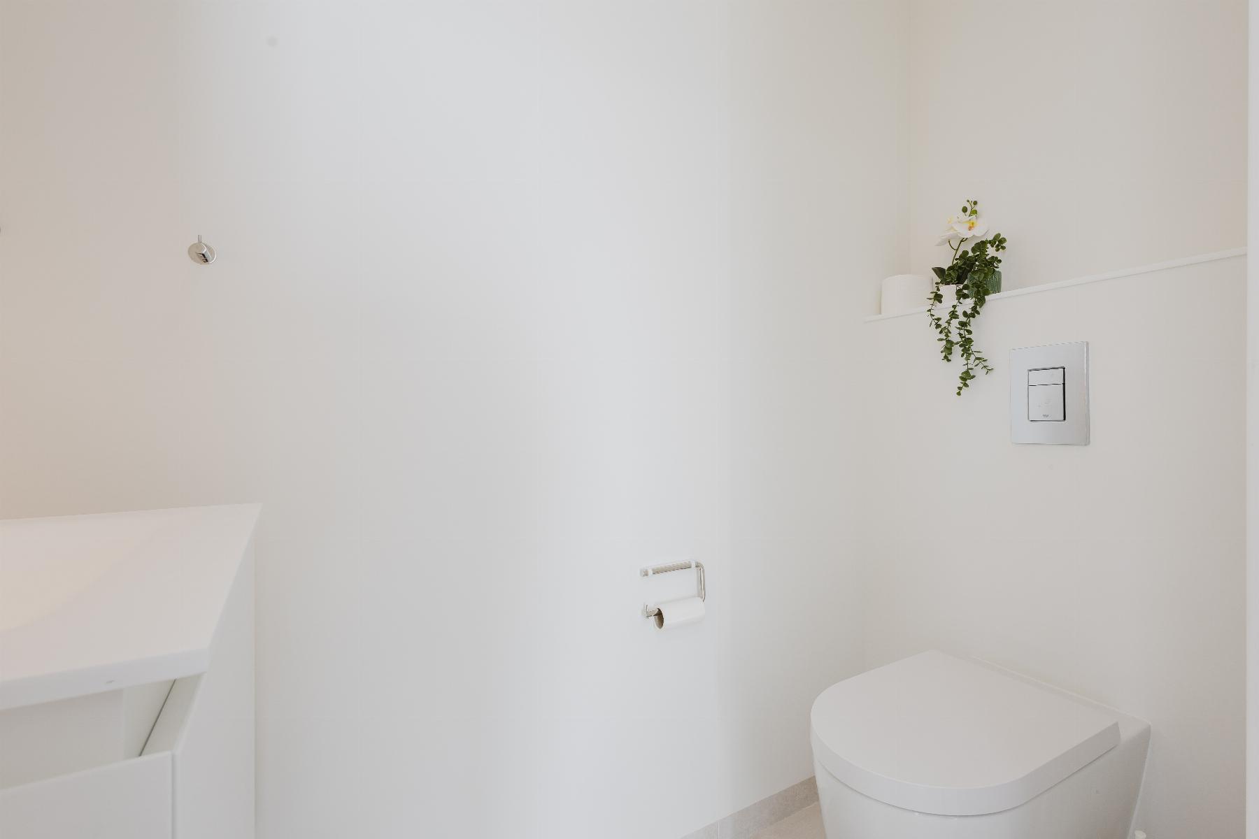 Minimalist white bathroom showing a wall-mounted toilet, toilet paper holder, and a small potted plant on a shelf over the toilet edge.