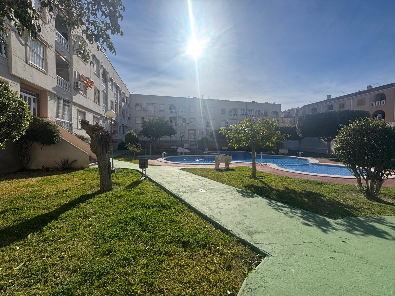 Sunny day in a residential courtyard with a curved blue pool, green lawn, and surrounding buildings; sun glare in the sky.