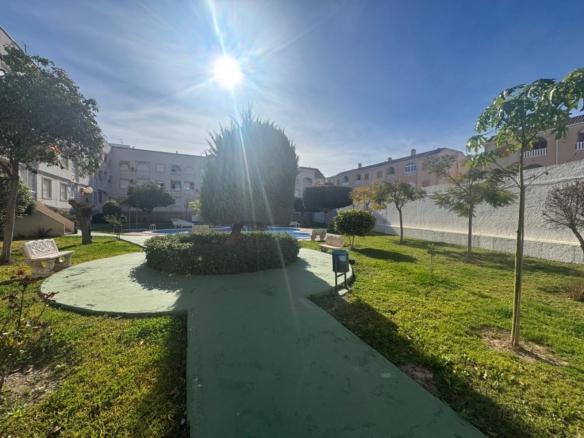 Sunny residential courtyard with a circular, pale green walkway, central trimmed tree, benches, and apartment buildings in the background; bright sun overhead.