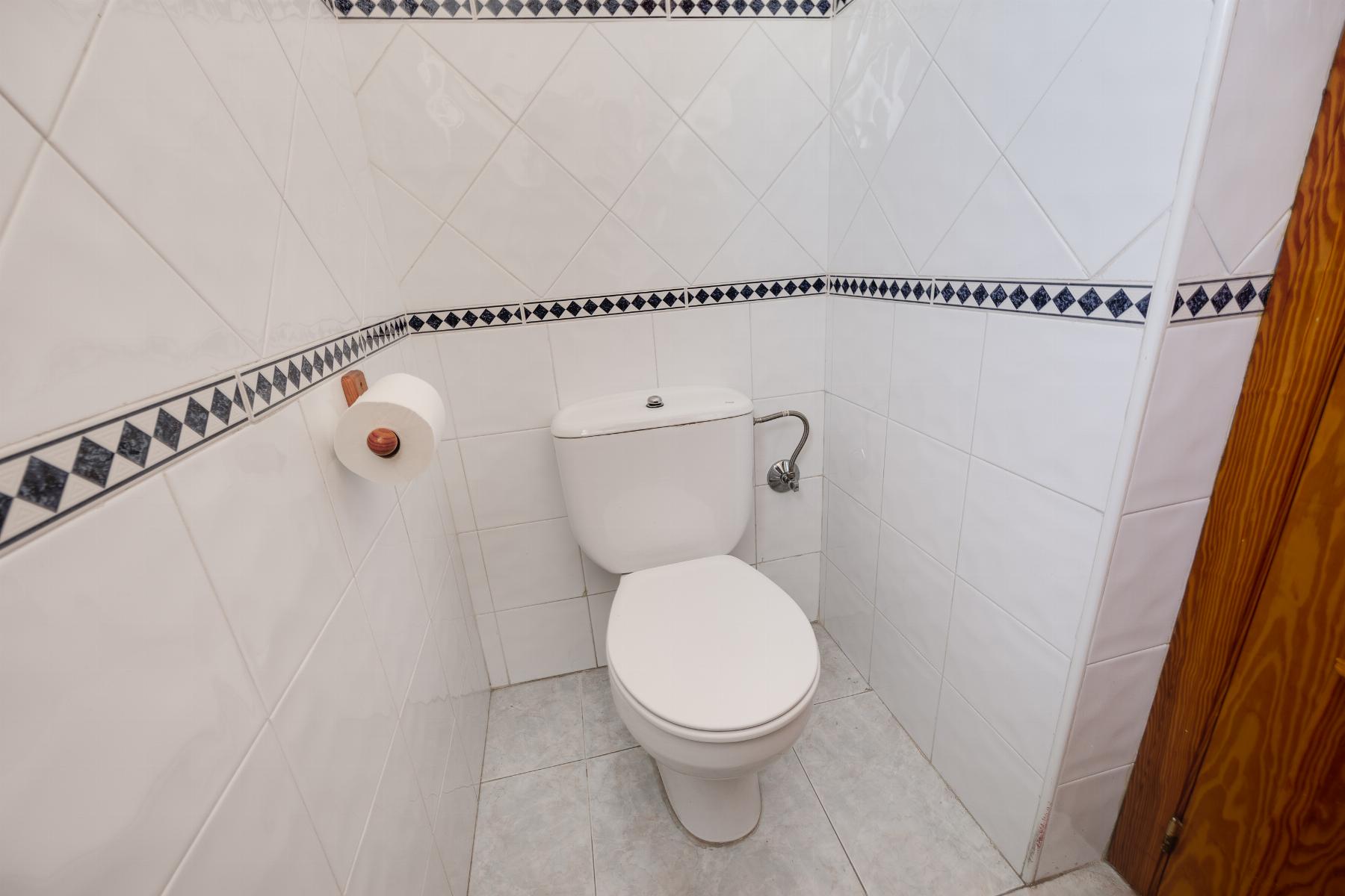 Small white-tiled bathroom with a modern toilet and a roll of toilet paper on the wall-mounted holder, blue diamond tile border, wooden door on the right.