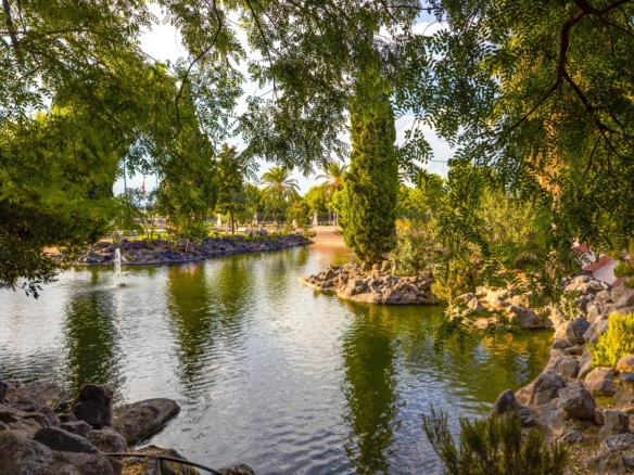 A tranquil park pond framed by overhanging branches, rocky edges, and palm trees in the distance under sunny skies.