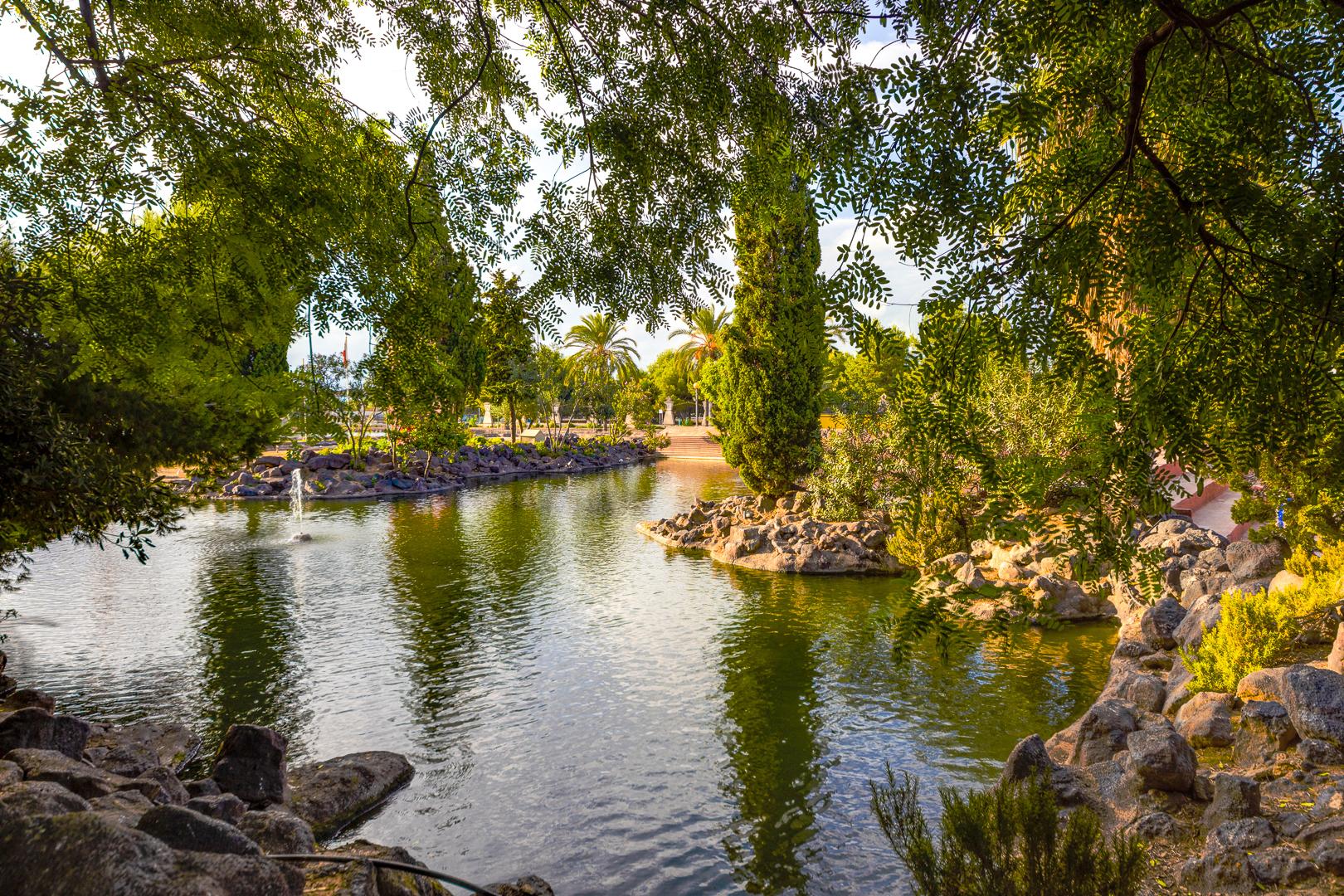A tranquil park pond framed by overhanging branches, rocky edges, and palm trees in the distance under sunny skies.