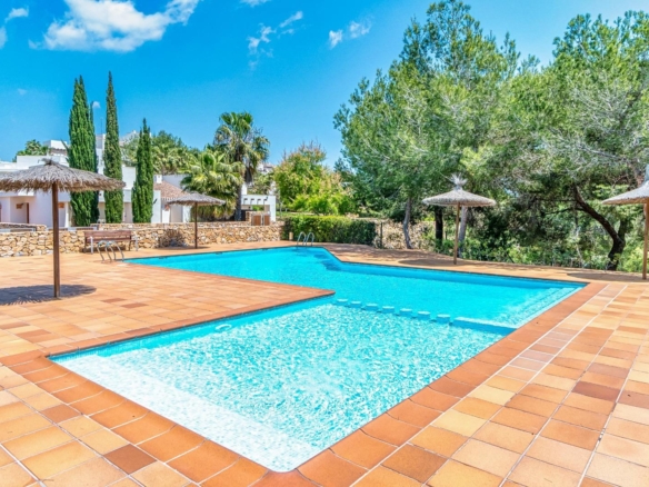 Outdoor pool with turquoise water, terracotta tiles, straw umbrellas, and palm trees in a sunny resort setting.