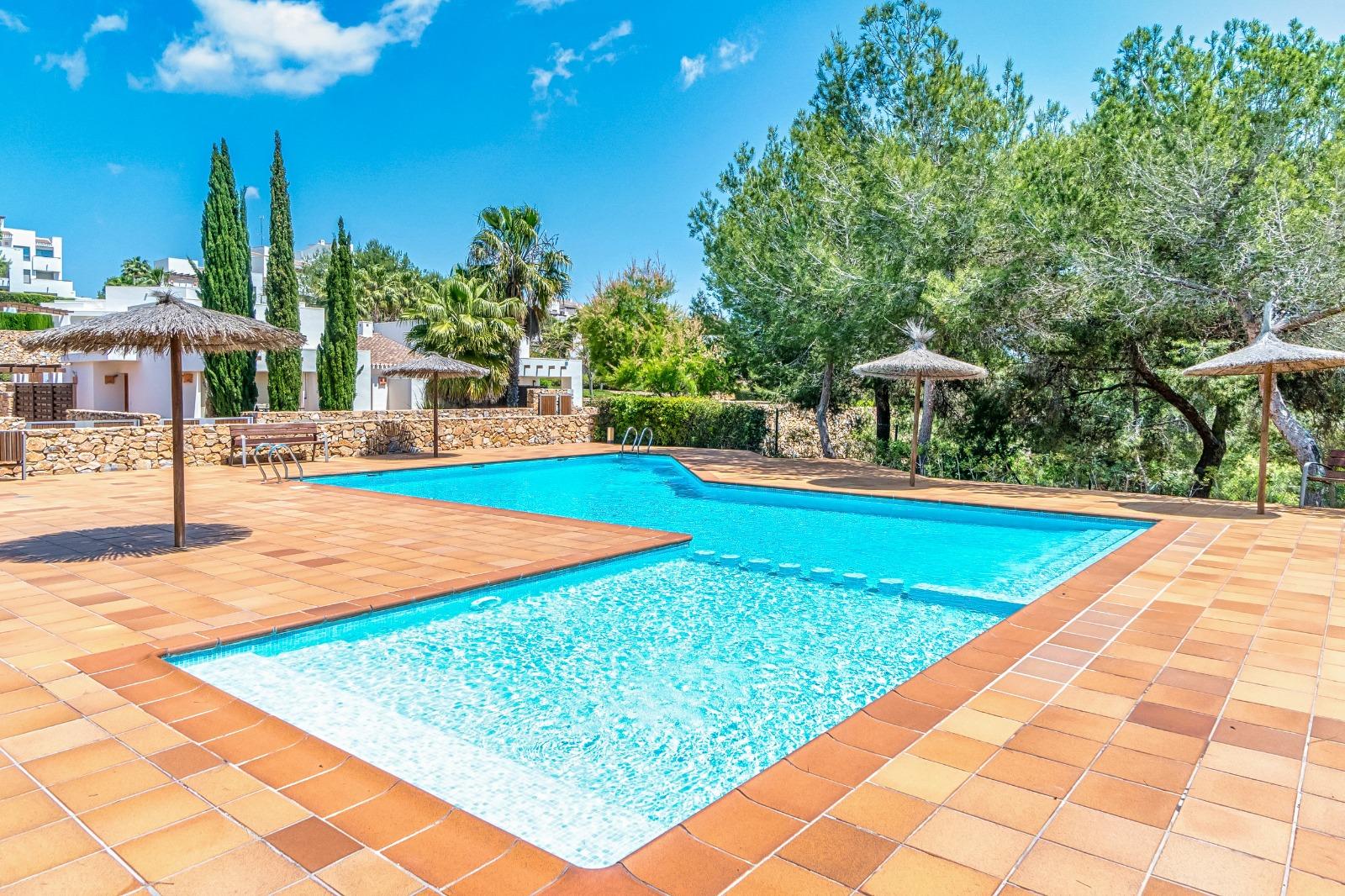 Outdoor pool with turquoise water, terracotta tiles, straw umbrellas, and palm trees in a sunny resort setting.