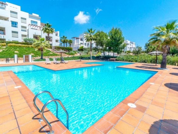 Resort swimming pool with blue water, white modern buildings, and palm trees in bright sunny setting.