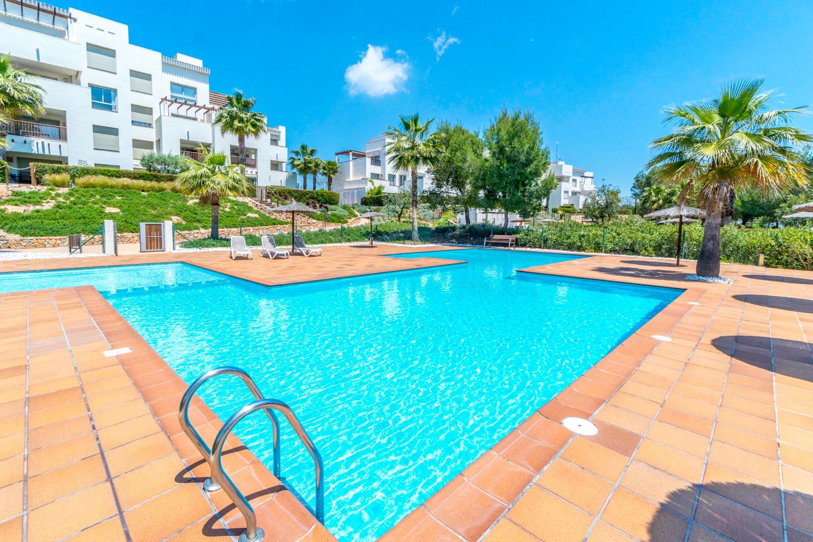 Resort swimming pool with blue water, white modern buildings, and palm trees in bright sunny setting.