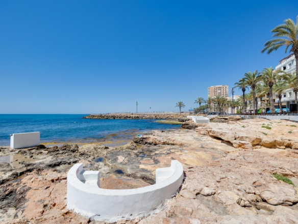 Sunny coastal promenade with white curved seating on rocky shore, palm trees lining the street, and buildings along the waterfront under a clear blue sky.