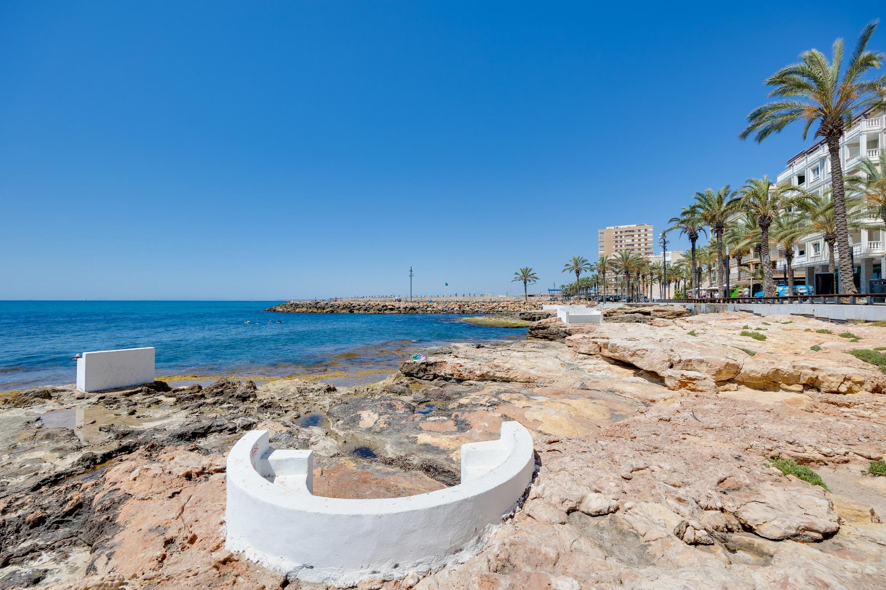 Sunny coastal promenade with white curved seating on rocky shore, palm trees lining the street, and buildings along the waterfront under a clear blue sky.