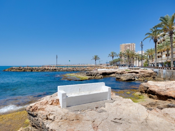Sunny seaside promenade with palm trees, rocky shore, and blue ocean under a clear sky; buildings line the waterfront on the right.