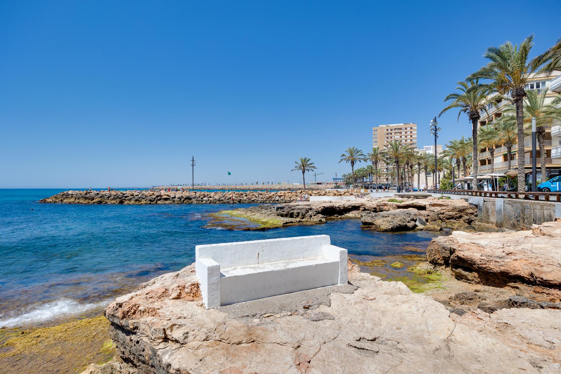 Sunny seaside promenade with palm trees, rocky shore, and blue ocean under a clear sky; buildings line the waterfront on the right.