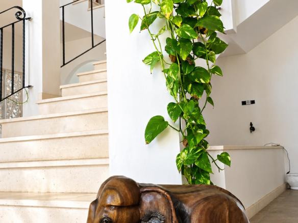 Luxe villa in La Manga – Villa Nord Finis